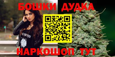 гашик Дубна